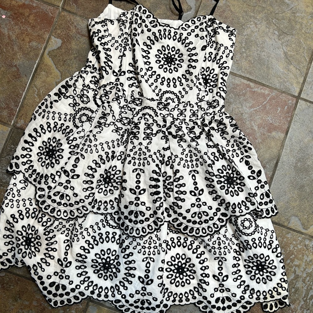 Express embroidered dress